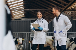 Veterinary Wholesale Distributors in India: How They Support Rural Animal Health