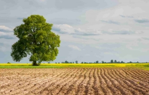 Property Dealers in Haldwani – Your Trusted Partners for Land & Plot Investments