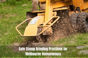 Safe Stump Grinding Practices for Melbourne Homeowners