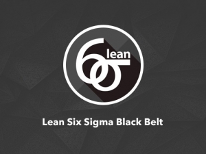 Lean Six Sigma Black Belt: The Ultimate Leadership Upgrade for Today’s Professionals