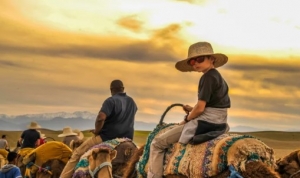 Top Reasons to Choose a Private Tour Over a Group Tour in Morocco