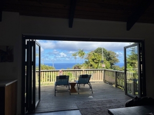 What You Should Know About Security Features of Aluminum Bi-Fold Door