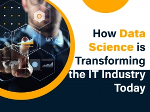 How Data Science is Transforming the IT Industry Today