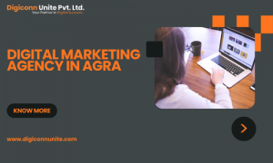 Digital Marketing Agency in Agra – Grow Your Business Online With Digiconn Unite