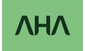 Creative Agencies Are Essential for Building a High-Impact Brand Identity