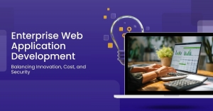 Enterprise Web Application Development: Balancing Innovation, Cost, and Security 