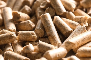 Biomass Pellets Manufacturing Plant Project Report 2025: Business Plan, Cost and Revenue