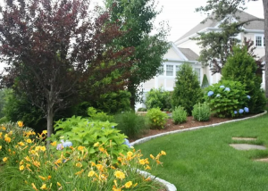 Where Beauty Begins: Superior Lawn Maintenance for South Shore Properties