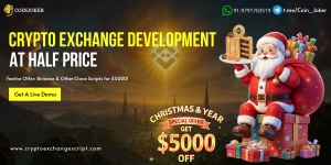 Jingle All the Way to Profits: Get Your Binance Clone Script This Festive Season – Only $5000!
