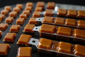 Caramel Color Manufacturing Plant Setup Report 2025: Requirements and Cost Involved