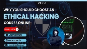 Why You Should Choose an Ethical Hacking Course Online