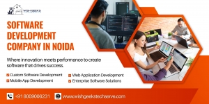 Trusted Software Development Company in Noida 
