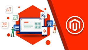 3 Benefits of Hiring a Magento Development Company Over Freelancers