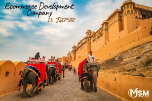 What Sets Top Ecommerce Development Companies in Jaipur Apart in 2025?
