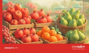 Trusted Exporters of Fresh Fruits Listed on Pepagora