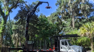 When Should You Schedule Emergency Tree Removal in Jacksonville?