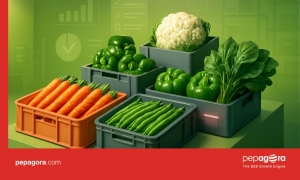 Industries Relying on Pepagora for Vegetables Supply
