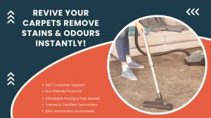 Why Is Professional Carpet Cleaning Essential for Your Home?
