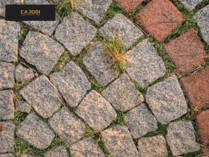  Concrete Paver Installation