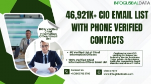 Everything You Need to Know About the Chief Information Officer Mailing List from InfoGlobalData