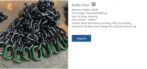 Bridle Chain Essentials: How to Choose, Use, and Maintain the Best Fit for Your Horse