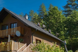 Emergency Roof Leak Repair: 5 Immediate Steps for Your Home