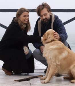 Commercial Pet Waste Cleanup Denver by Scoop Quadco