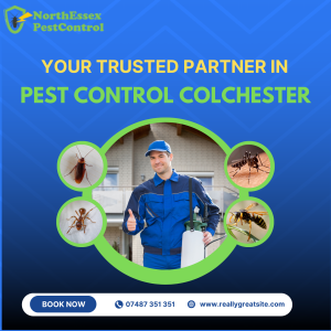 Squirrel Control Services – Professional Protection for Homes and Businesses