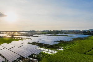 A Complete Guide to Choosing the Right Solar Panel for Home – Powered by Ohm Power