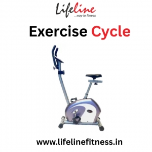 How an Exercise Cycle Improves Cardiovascular Health and Strength?