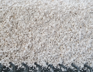 How to Use Perlite for Plants — A Complete Growing Guide