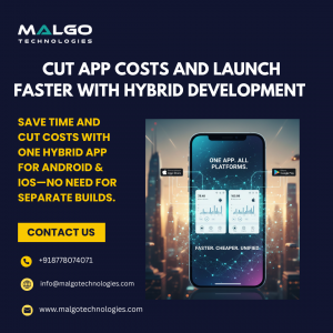 Struggling with Delays and Budget Limits? Get One Powerful Hybrid App for All Platforms
