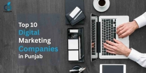 Best Digital Marketing Agencies in Punjab You Should Know