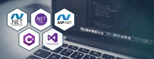 .NET Software Development in Ireland by Rakshak Software
