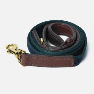 Why Leather Leashes for Dogs Are the Best Choice for Comfort, Control & Durability