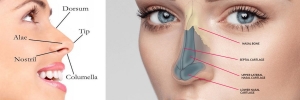 Leading Non-Surgical Rhinoplasty Clinics in Delhi | Precision Facial Aesthetics