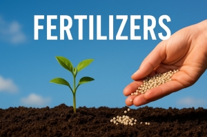 Fertilizers: The Key to Productive Agriculture | Zarea Limited