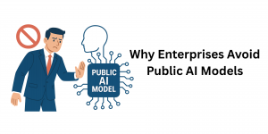 Why Enterprises Avoid Public AI Models