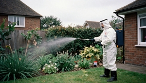 Protecting Your Home: A Comprehensive Guide to Identifying and Preventing Common Household Pests