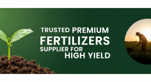 Trusted Premium Fertilizers Supplier for High Yield