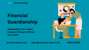 Financial Guardianship: Safeguarding Your Limited Company's Prosperity with an Accountant