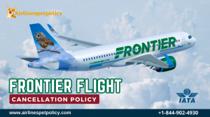 How do I cancel my Frontier Flight? | Policy | Fee | Process