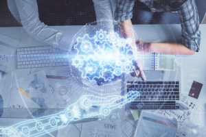 Finding Trusted Cognitive Ability Testing Services Across NZ