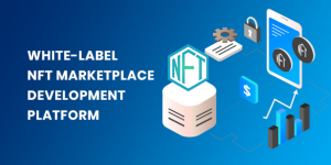 Customization's Role in White Label NFT Marketplace Development: Beyond Tokens