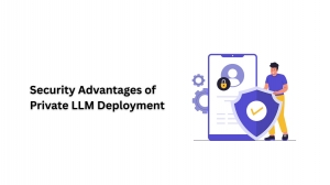 Security Advantages of Private LLM Deployment