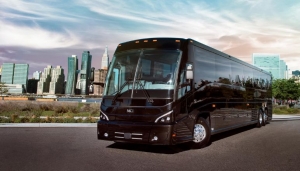Charter Bus Rentals: Simplifying Commutes, One Route at a Time