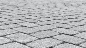 The Essential Guide to Selecting the Perfect Geo Grid Pavers for Your Home