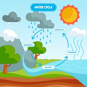 Free Weather API: Unlocking the Power of Weather Forecast Data