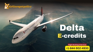 Delta eCredit 