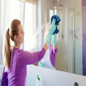 Washroom Hygiene: The Cornerstone of Wellness